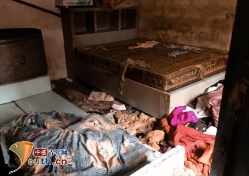 小说廉租房,廉租房小说后续