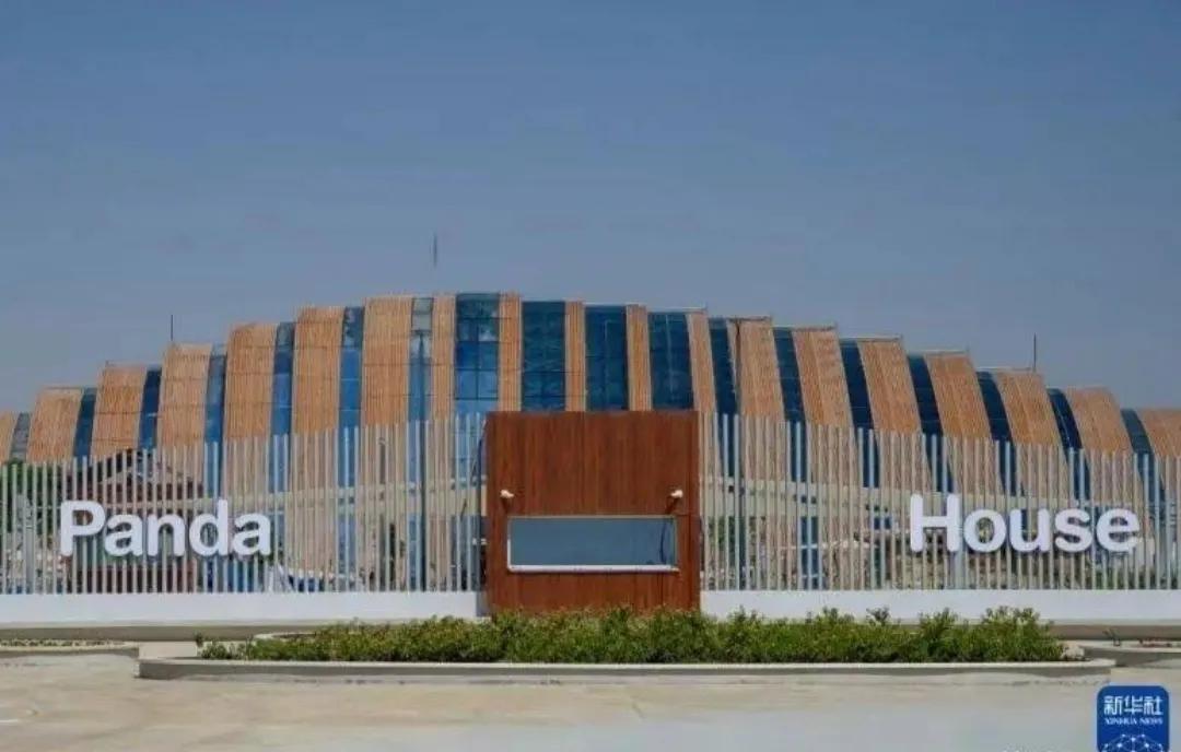 卡塔尔世界杯小知识卡通,卡塔尔世界杯知识