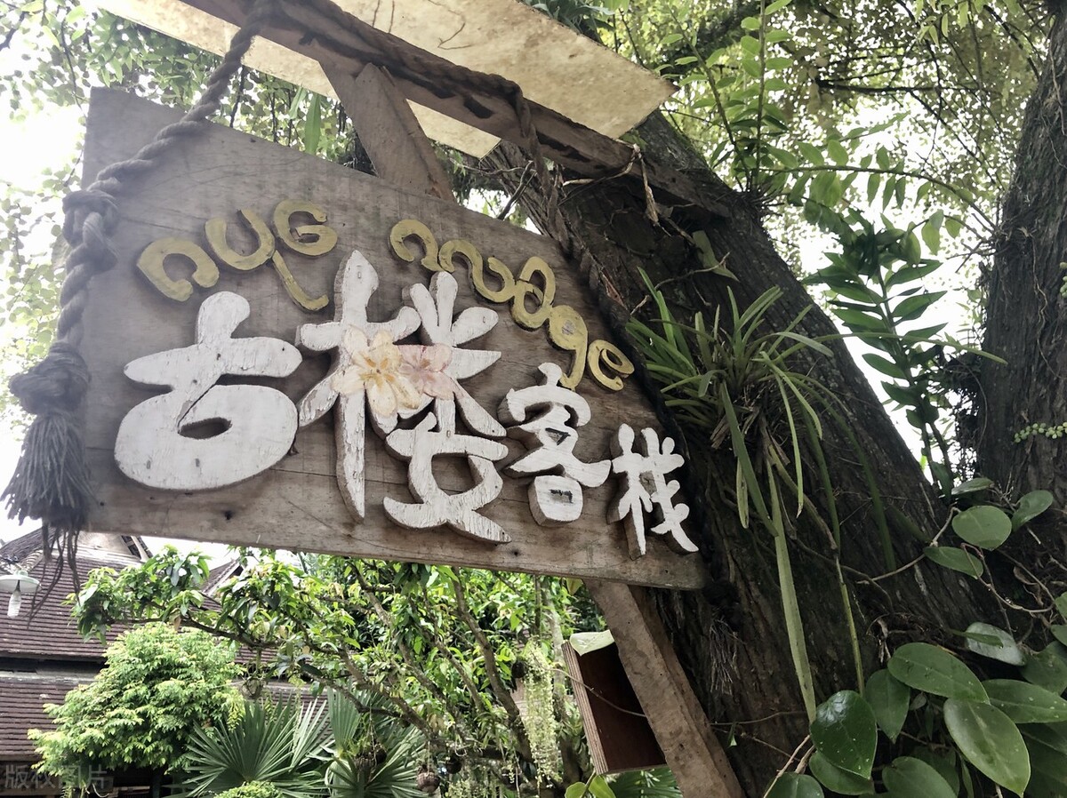 西双版纳避寒避暑的雨林仙境,西双版纳避寒度假