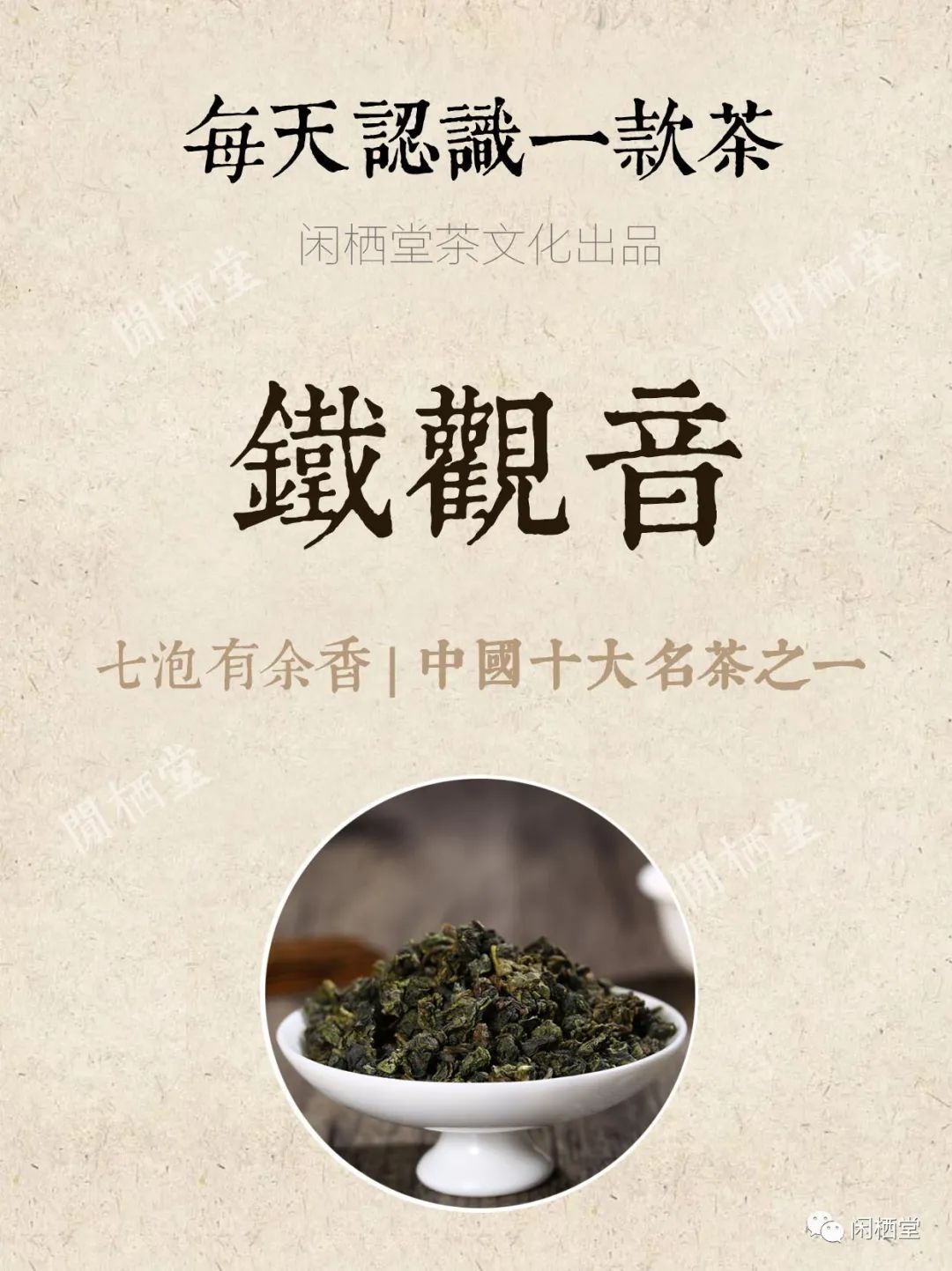 中国十大名茶之铁观音介绍,每日认识一种兰花