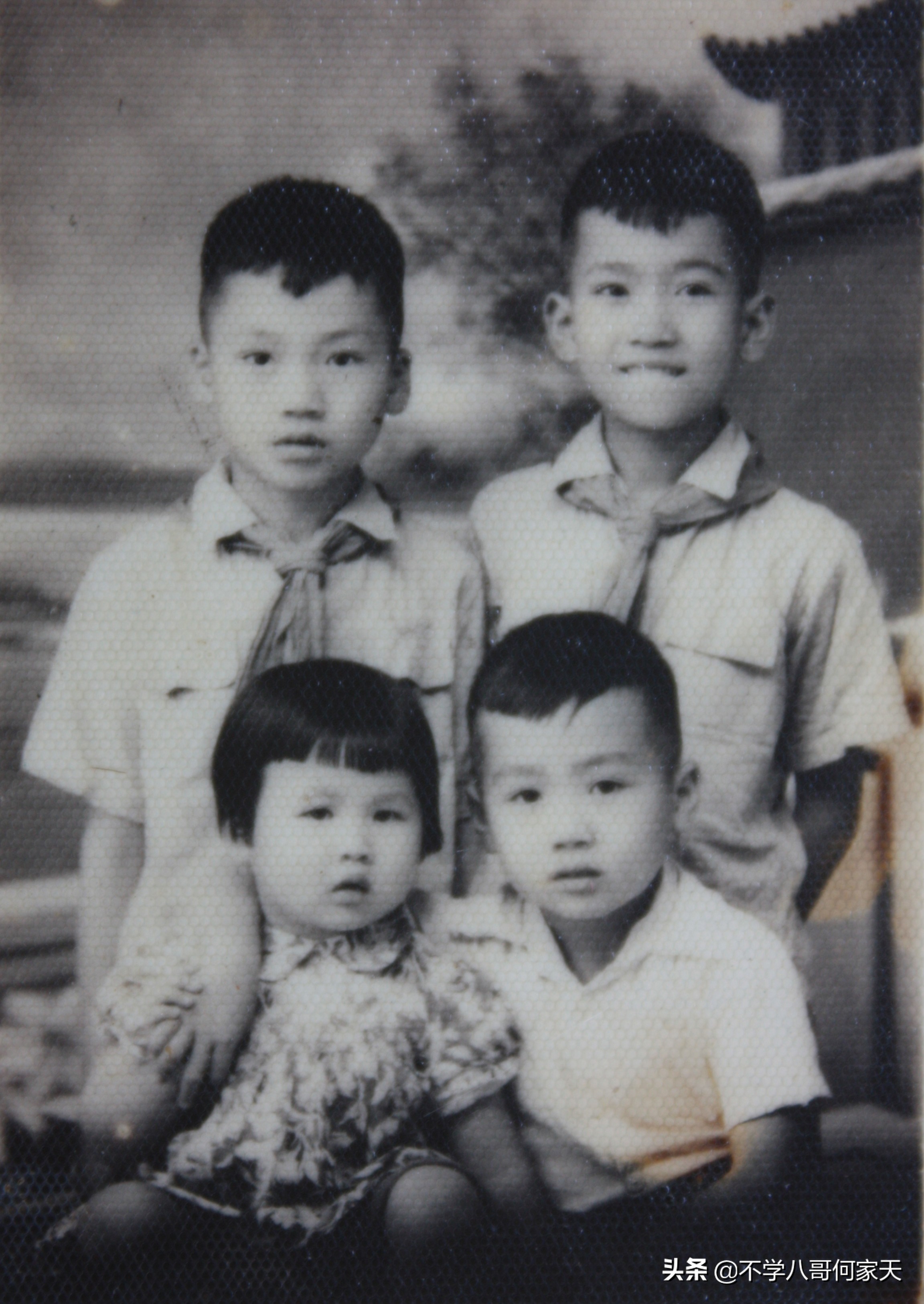 漳州市第一实小,漳州市实验小学共有几所