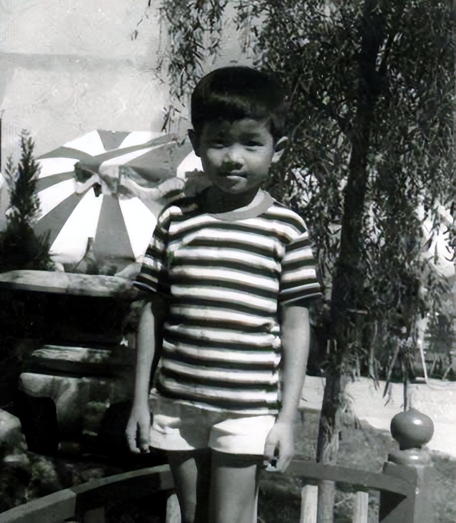 何超琼陈百强往事,吴小莉陈百强何超琼往事