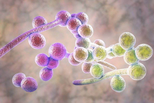 重医一院感染科黄文祥,黄文祥广东省中医院