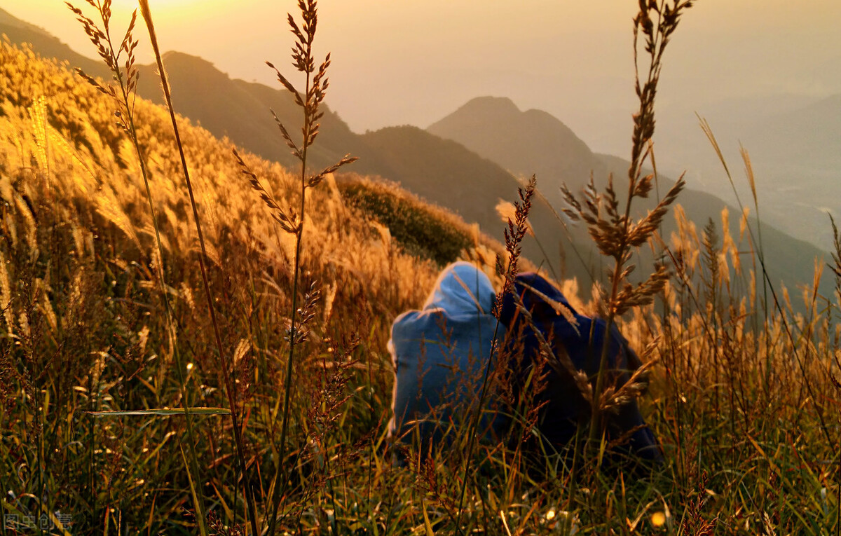 几本老司机都看得脸红心跳的小说，适合一个人躲在被窝里慢慢看