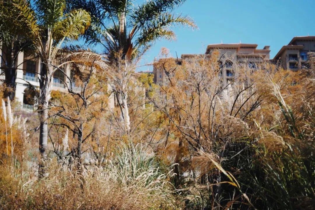 公司的旅游团建必须去吗,旅游团建机构有哪些好的