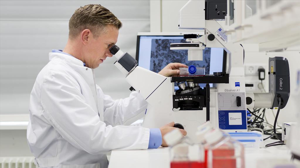 喝柠檬能预防癌症吗,柠檬能抗癌症是真的吗