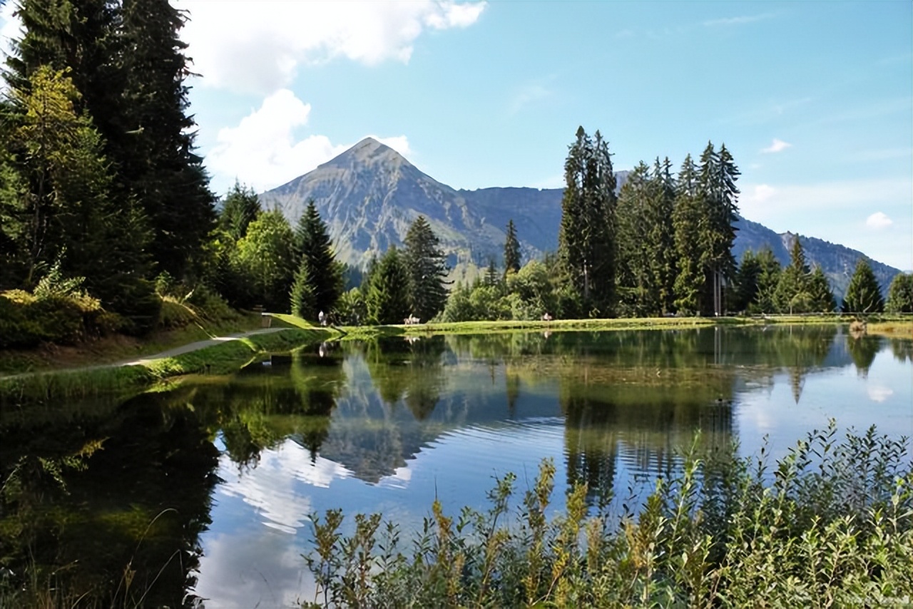 终于有人把筹码分布讲清楚了,为什么一定要懂筹码分布才能炒股