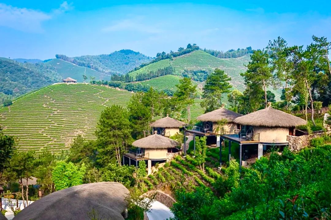 安吉旅游度假,安吉好玩还是千岛湖好玩