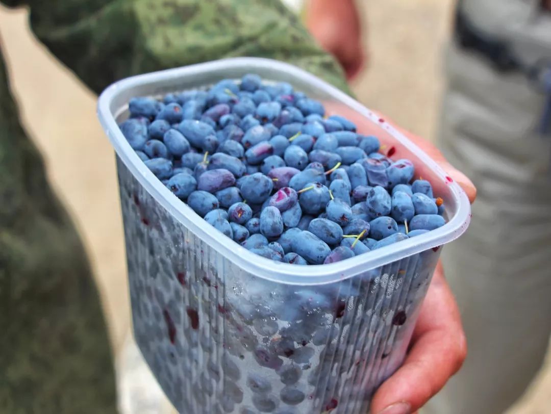 自驾俄罗斯遇到敲诈,自驾俄罗斯被勒索