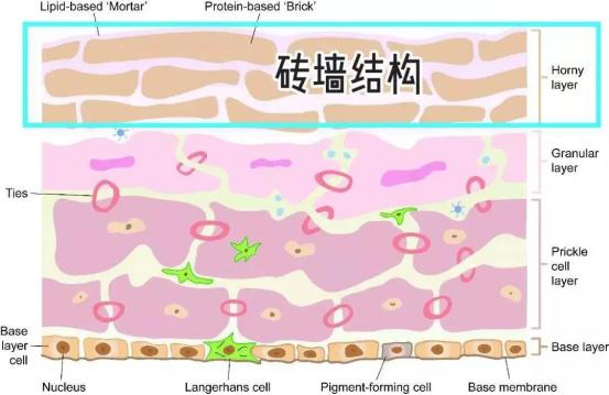 涂抹玻尿酸能祛痘印吗,涂抹玻尿酸真的能把皱纹去掉吗