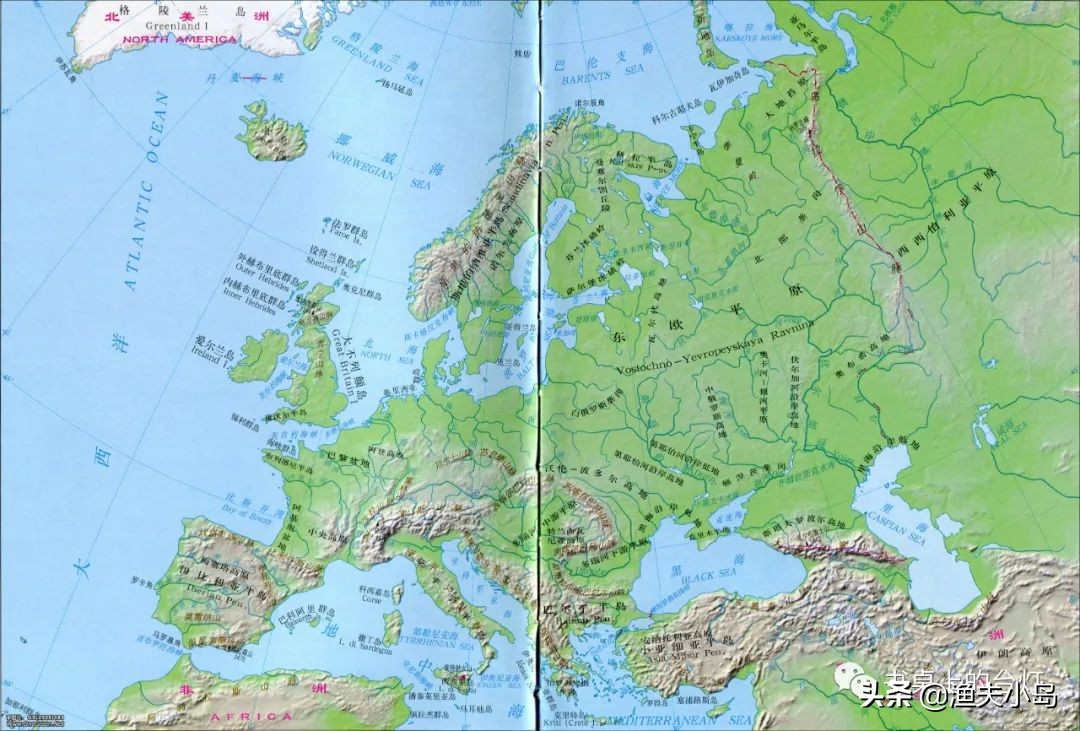 开智最佳时期,浅谈开智