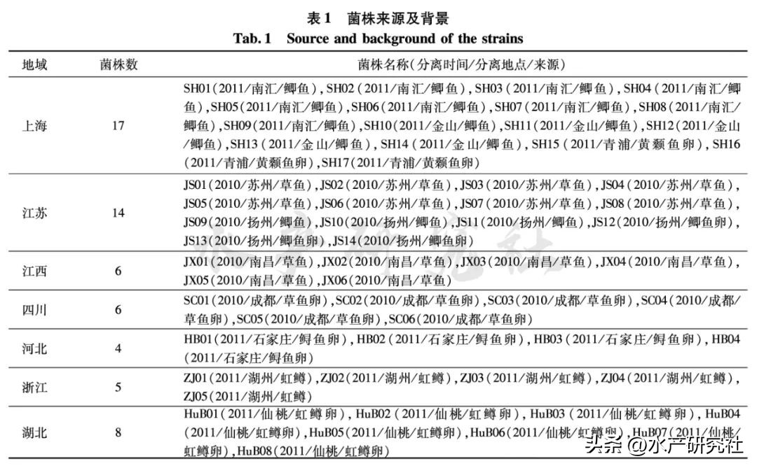 并不是所有的水霉菌都是有害的，您知道有害的有哪几种吗？