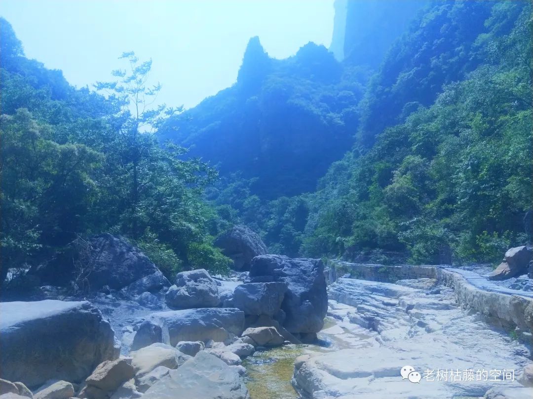 旅游的游繁体字,旅游的游踪