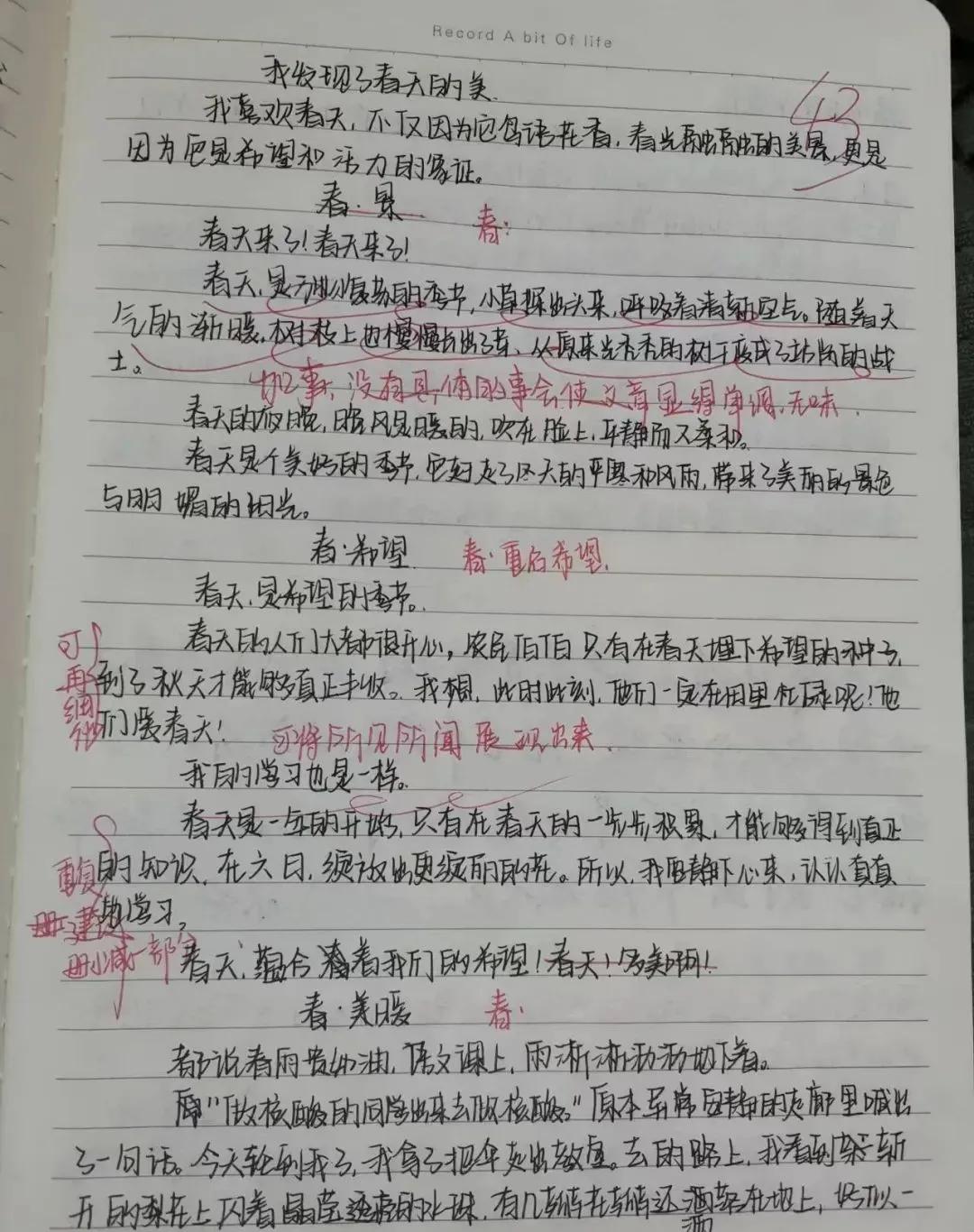 萍老师带你走进——作文修改盛宴