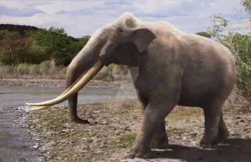 历史中的深思和思考,历史是寻觅未来的突破口