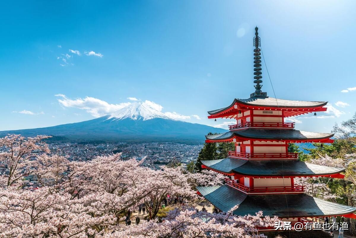 炒股最简单的方法和规则,炒股简单实用的10个口诀