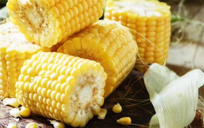 生玉米能吃不,生玉米能吃吗有毒吗