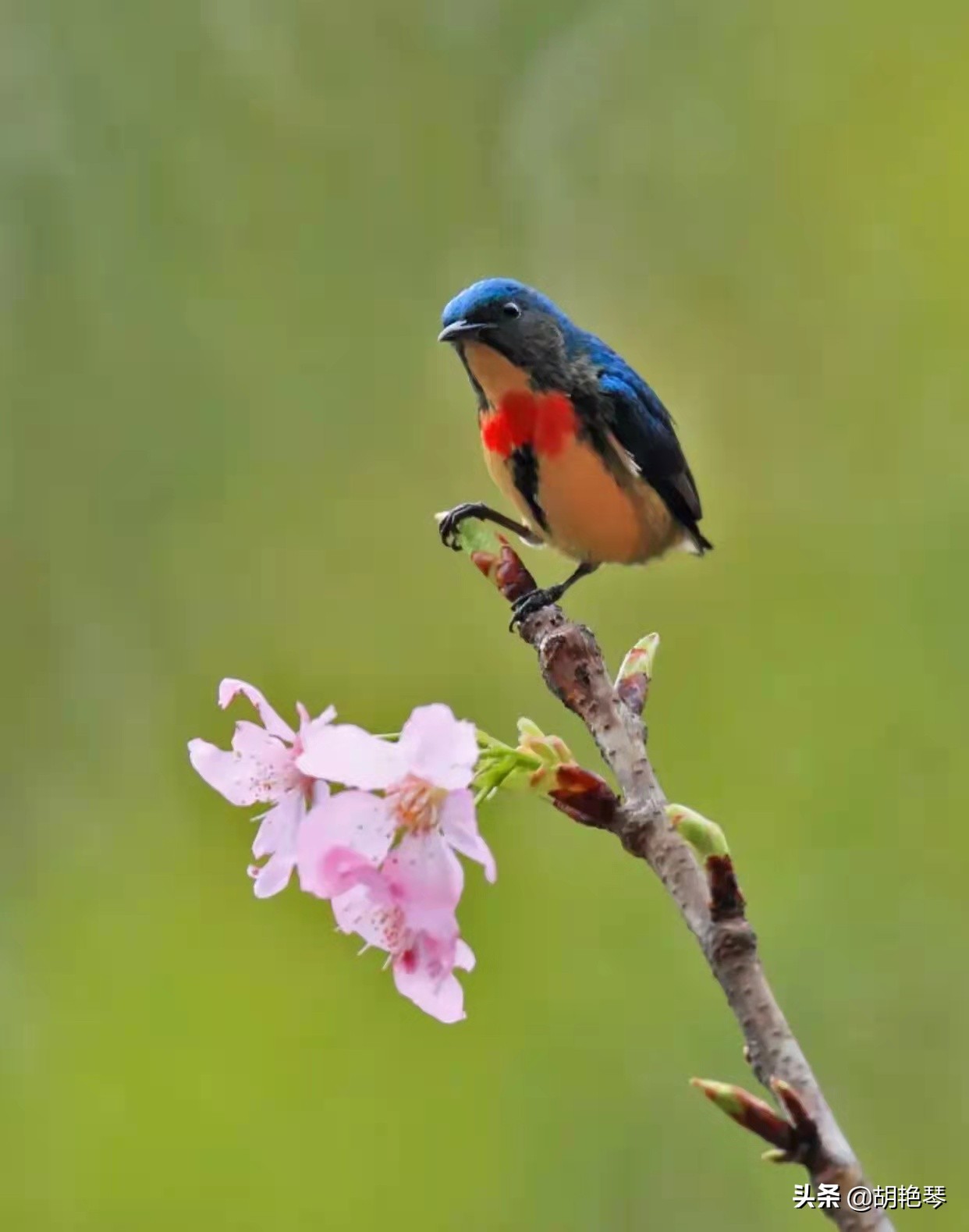 100个姓氏诗词,姓氏诗100句