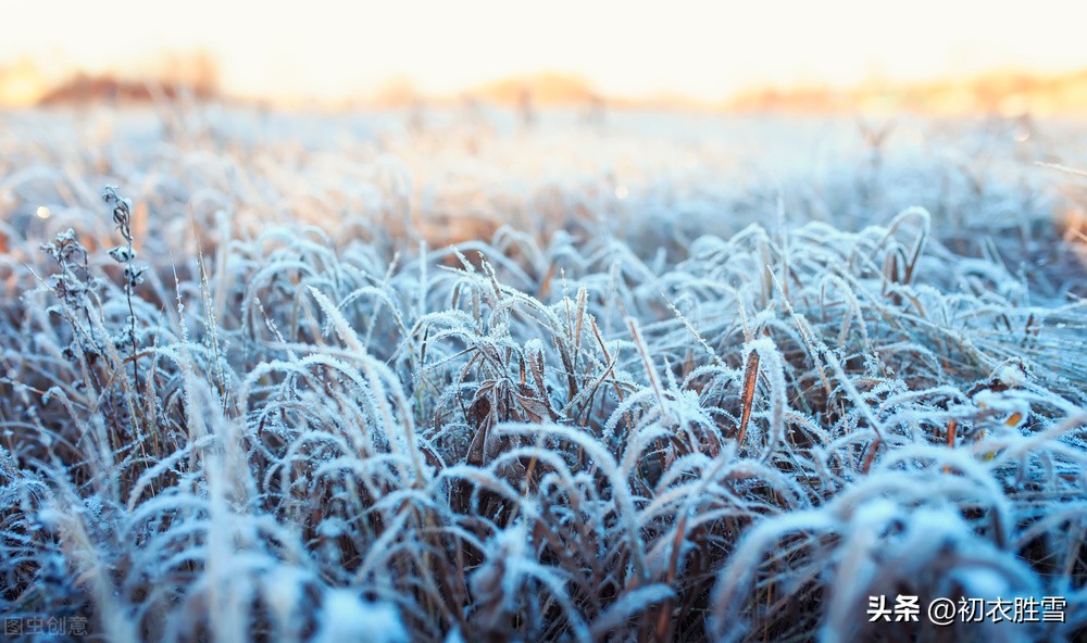 立冬五首：秋将归去冬又至，寒色不遮万山翠