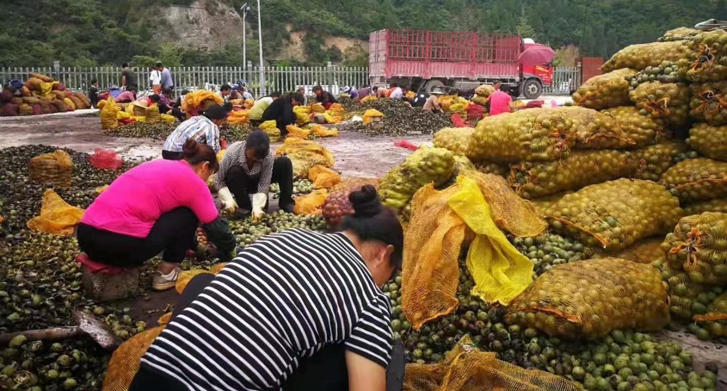 半年能挣20万的副业,月入百万的小商机