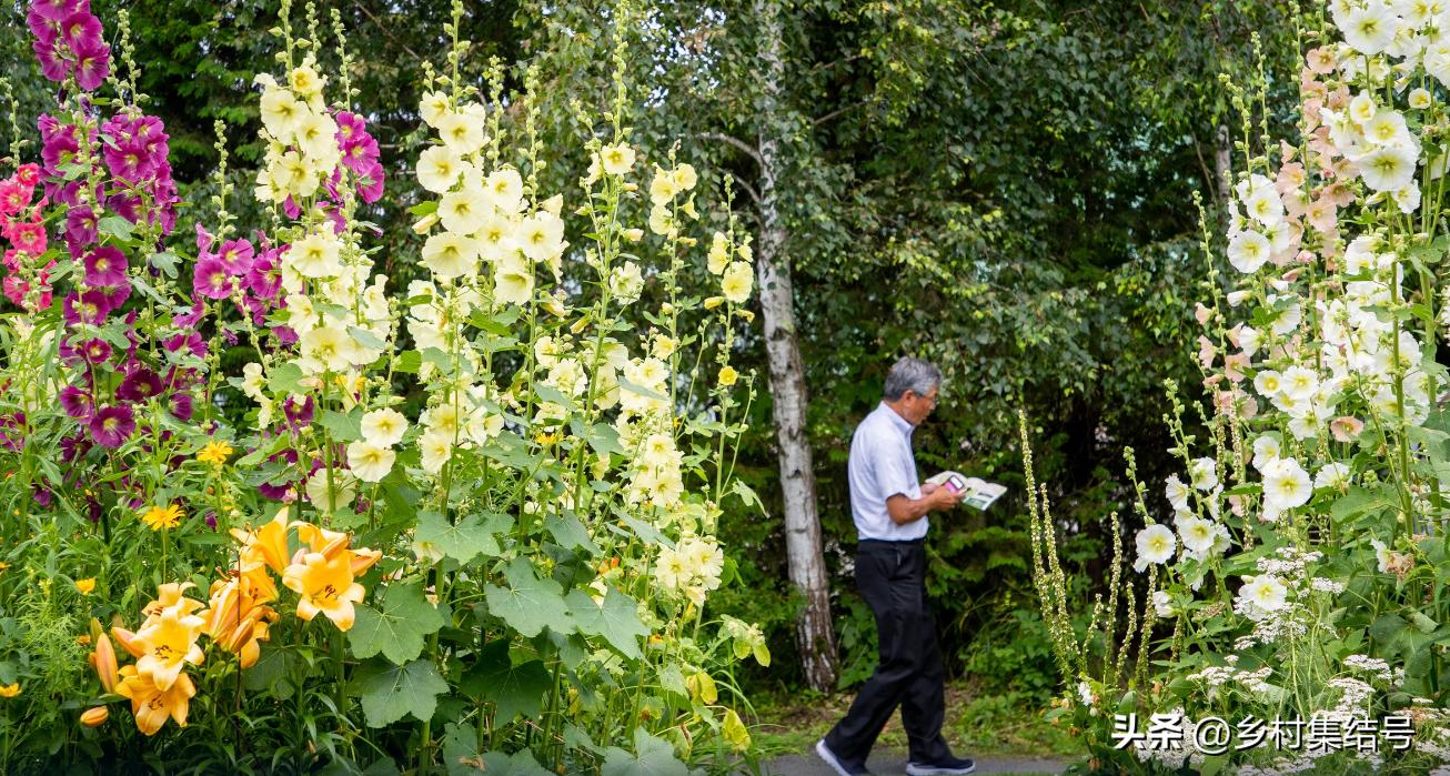 北海道上野农场,日本北海道上野农场