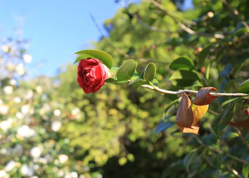 广州天河区暴风雪温泉,广州哪个温泉适合冬季
