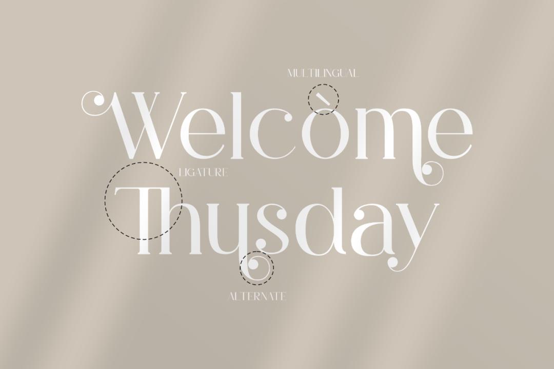 ttf纯英文好看字体,ttf英文字体