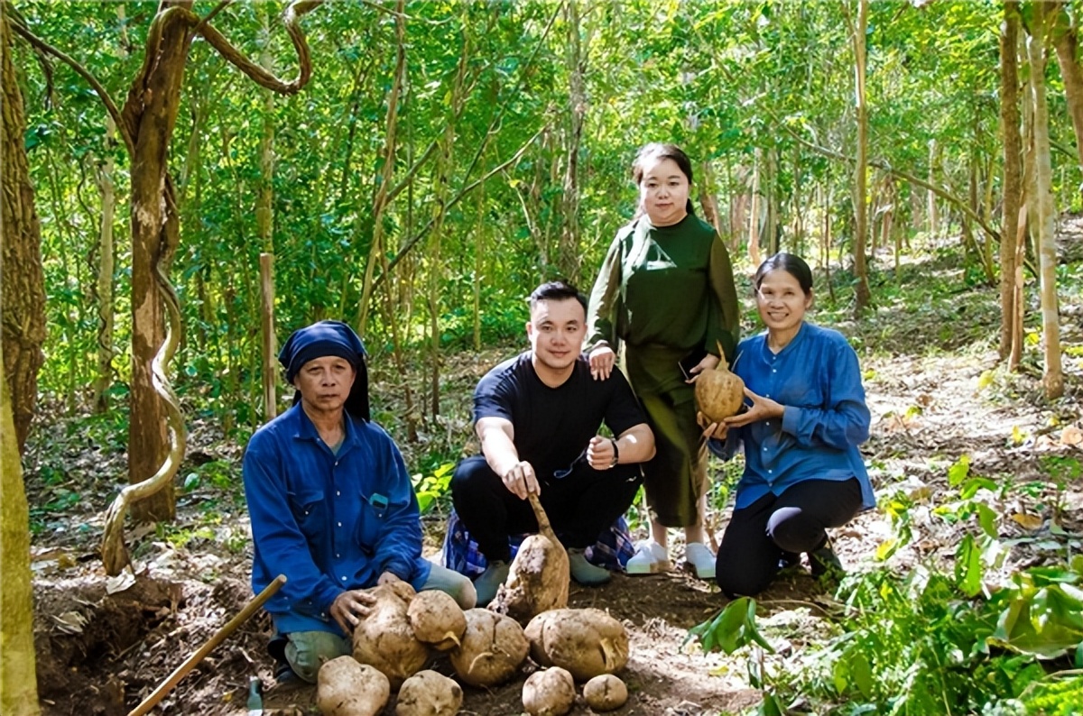 刘燕酿制野葛根乳霜有用吗,刘燕酿制官方直播间