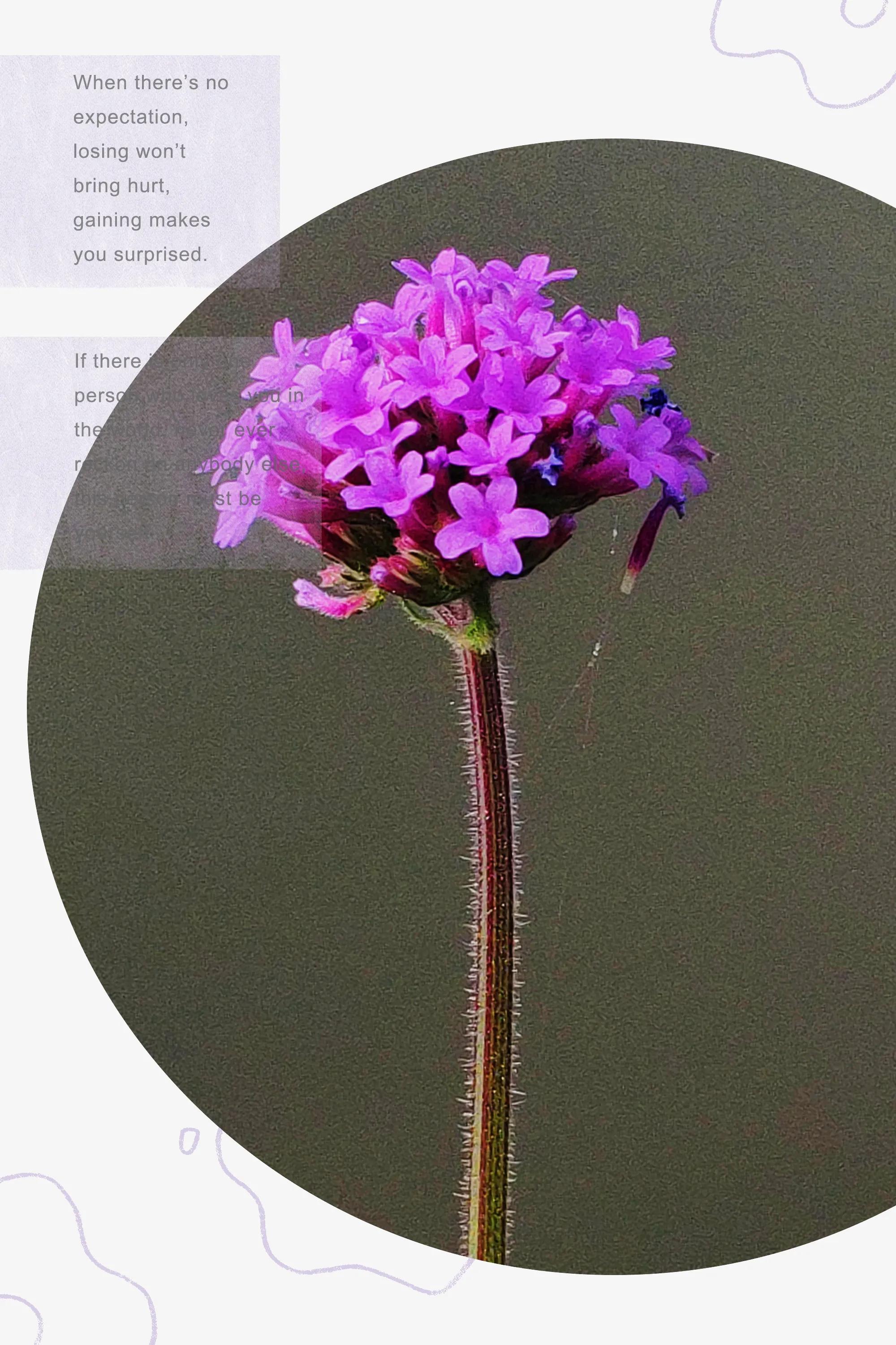 田园美景竖屏大图,乡村田园风景手机怎么拍