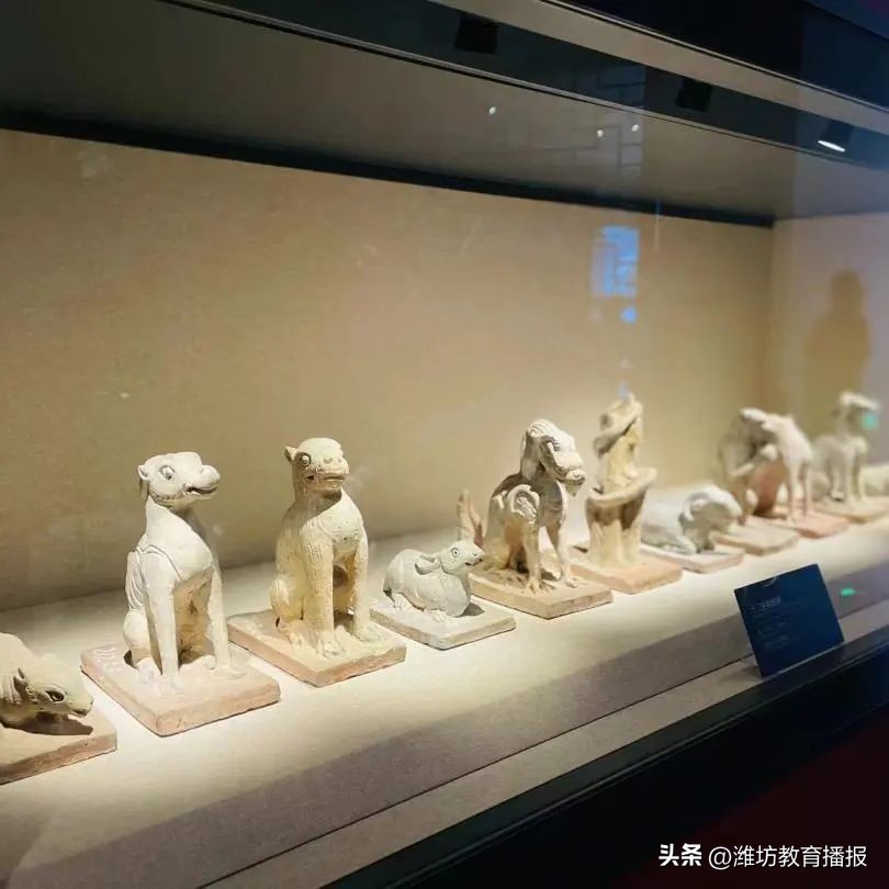 潍坊新亮点外国语学校,潍坊中新双语学校