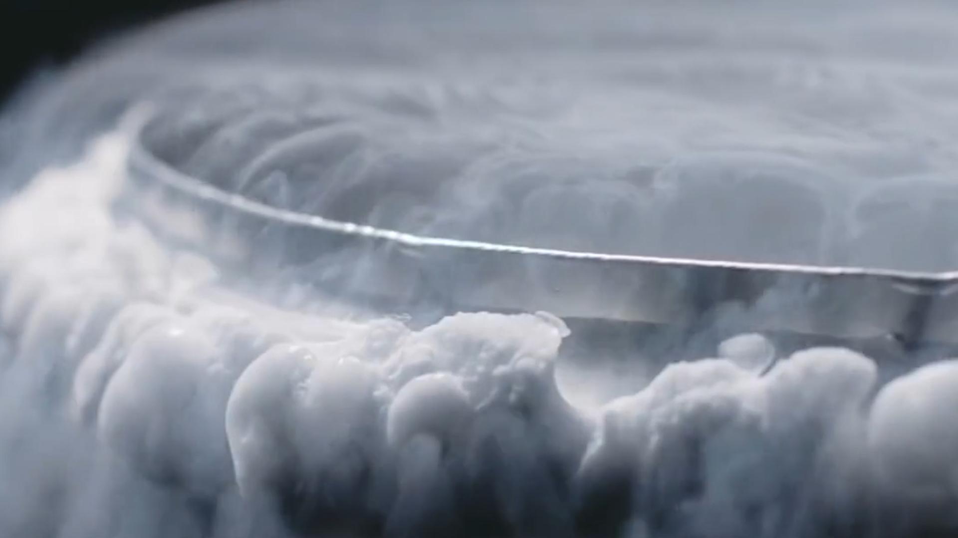 甲鱼冷冻多久可以复活,冰冻的一个月的甲鱼能否复活