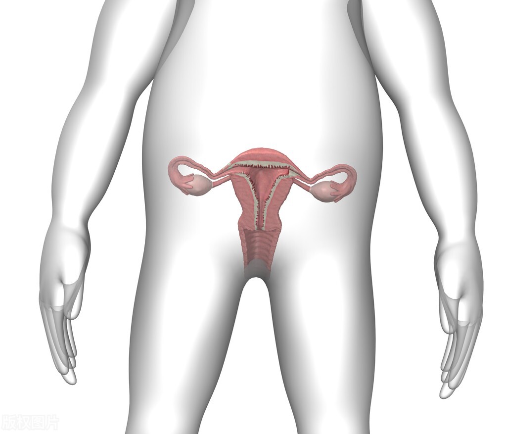 外阴处变肥大怎么回事,妇科检查显示宫颈肥大怎么办