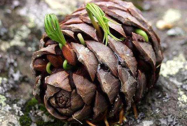 当你落魄所有人都离开你,当你落魄所有人离开你的句子