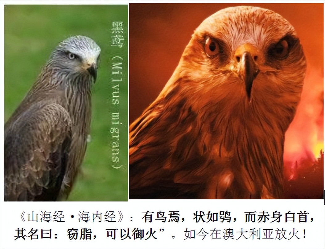 三星堆遗址出土大量精美青铜器,古蜀文化遗址三星堆青铜器