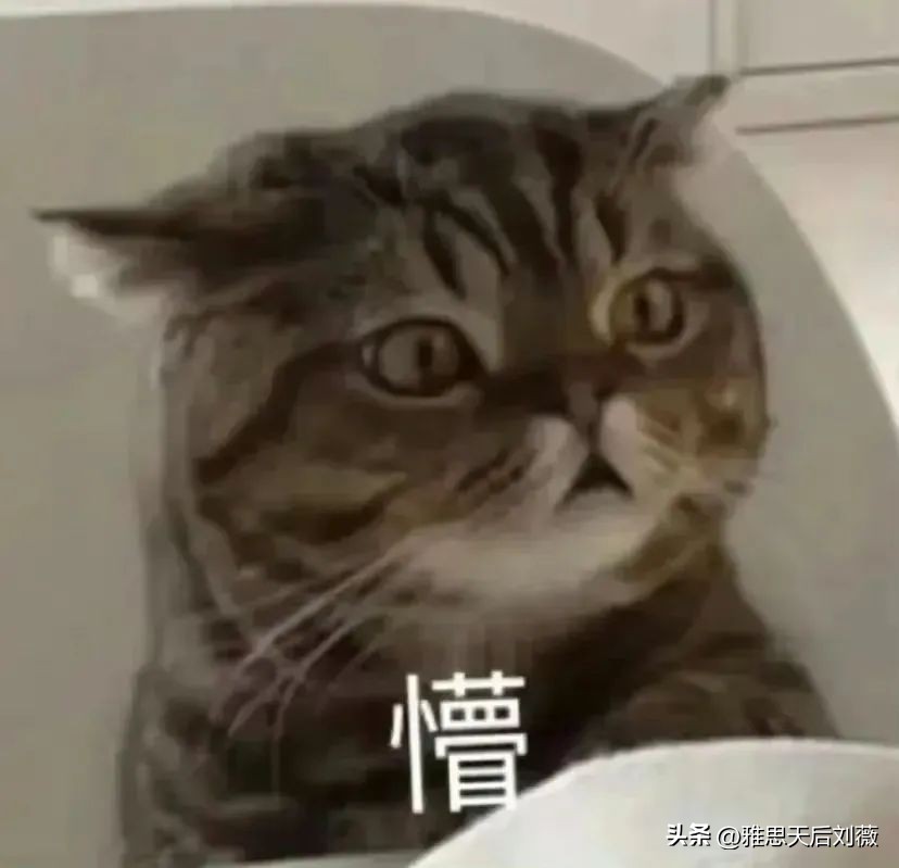 拿到offer后又被撤销录用,拿到名校offer什么意思