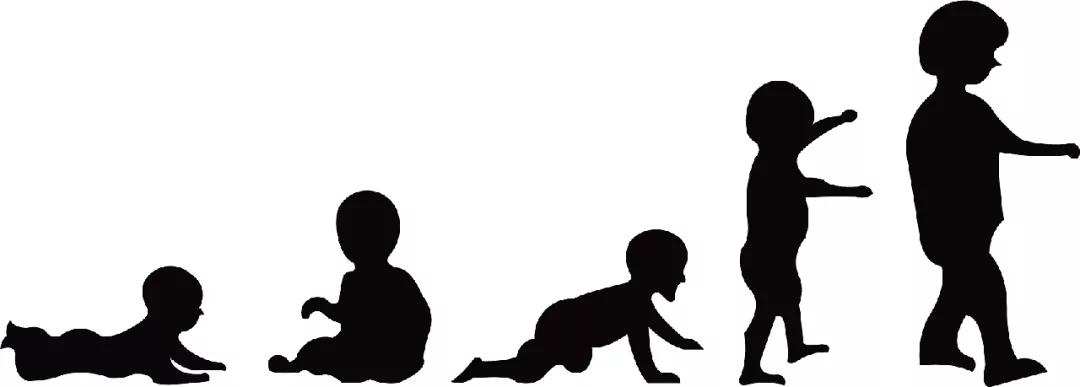 日本干细胞治疗甲减,干细胞移植可以治愈甲减吗