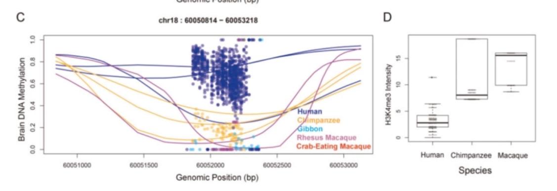 dna甲基化防癌检测的卖点,dna甲基化利器