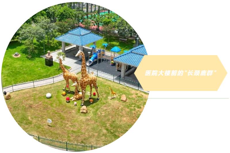 长颈鹿医院官网,长颈鹿医院看病