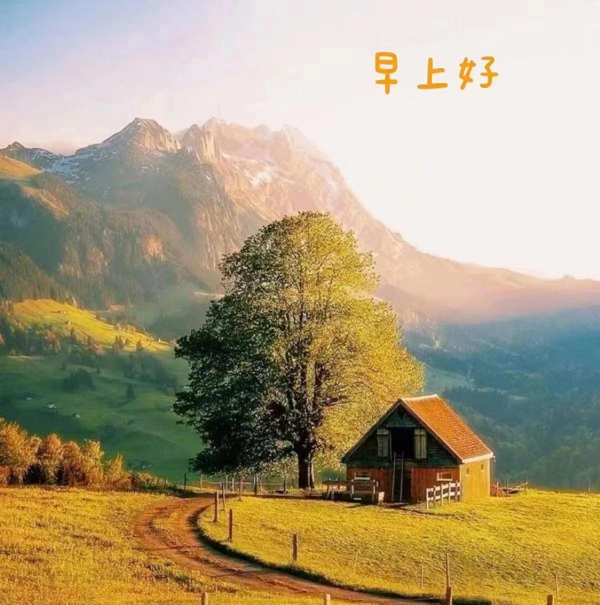 人生怎么才能潇洒,人生如何恣意潇洒