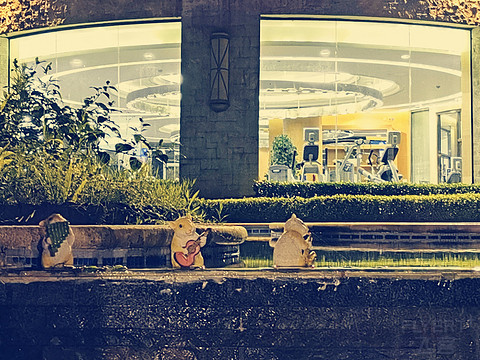 希尔顿酒店各品牌定位,希尔顿中国酒店排名