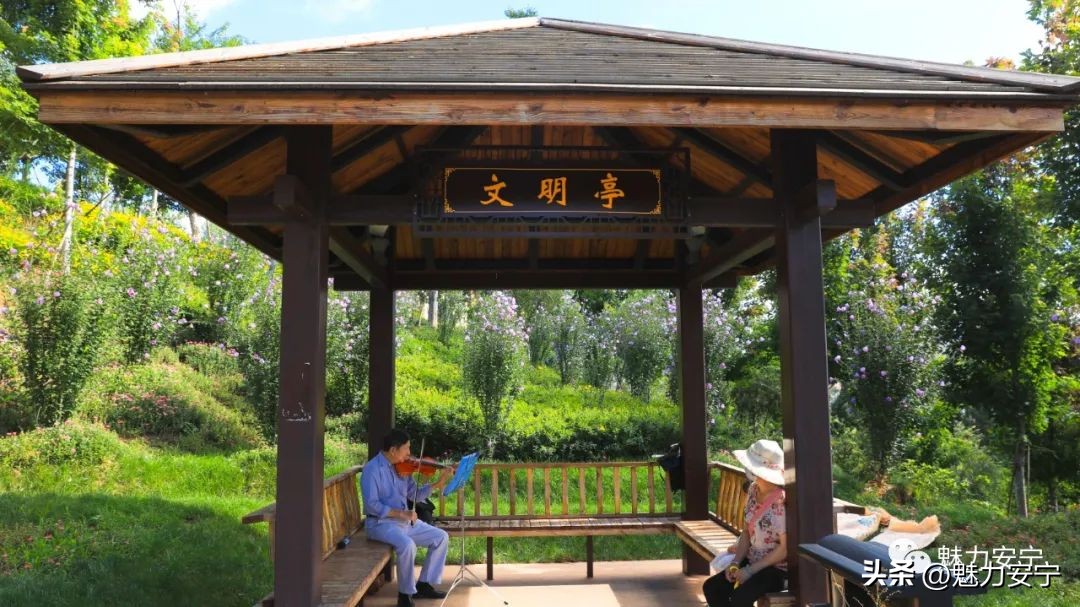 鐖变笂杩欒瘲鎰忕殑鐢熸椿,鐖变笂杩欒瘲鎯呯敾鎰忕殑鐢熸椿