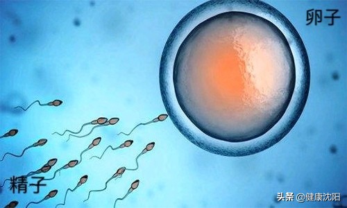 健康科普堂课程,健康科普堂视频大全