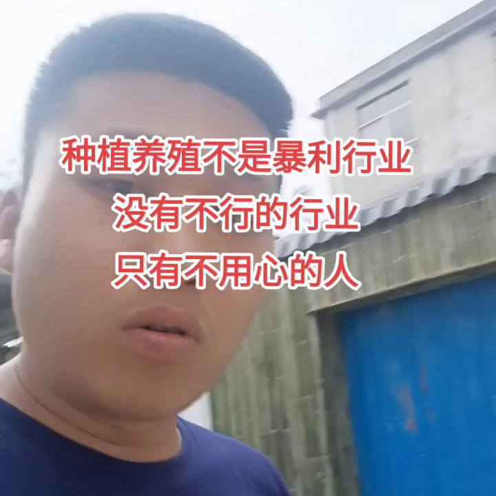哪里的养殖行业最好干一点,现在创业养什么最好