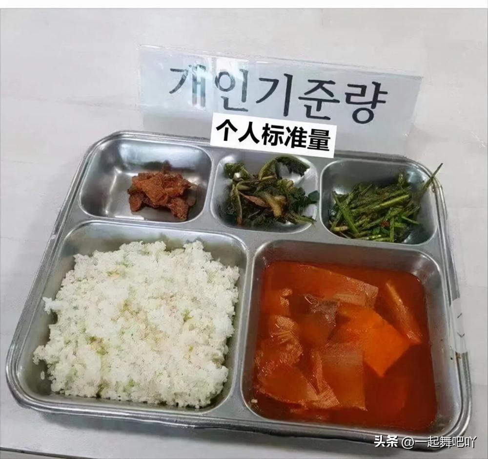 印度的军队伙食,印度部队伙食与解放军对比