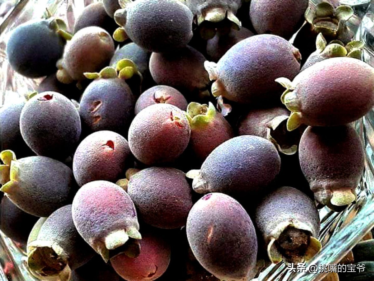 马来西亚特别推荐的水果,华人在马来西亚所占的比例