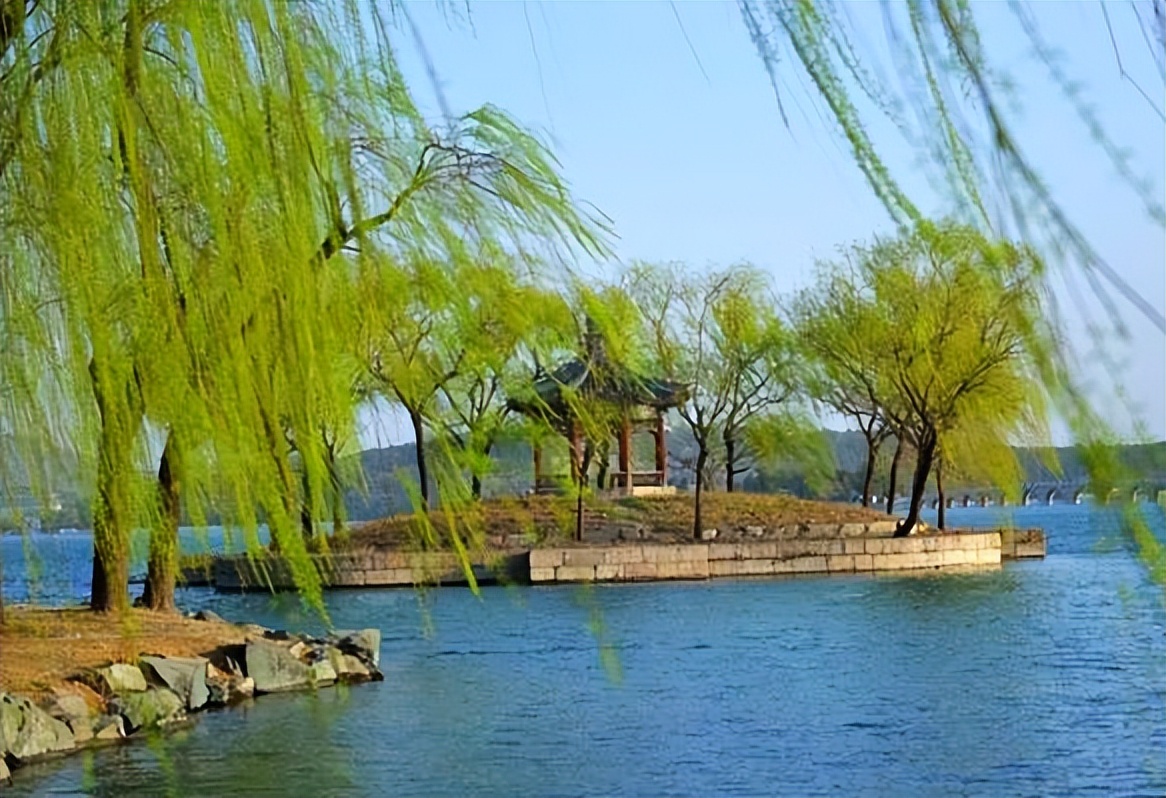 吹面不寒杨柳风全诗解析,吹面不寒杨柳风引用诗句作用