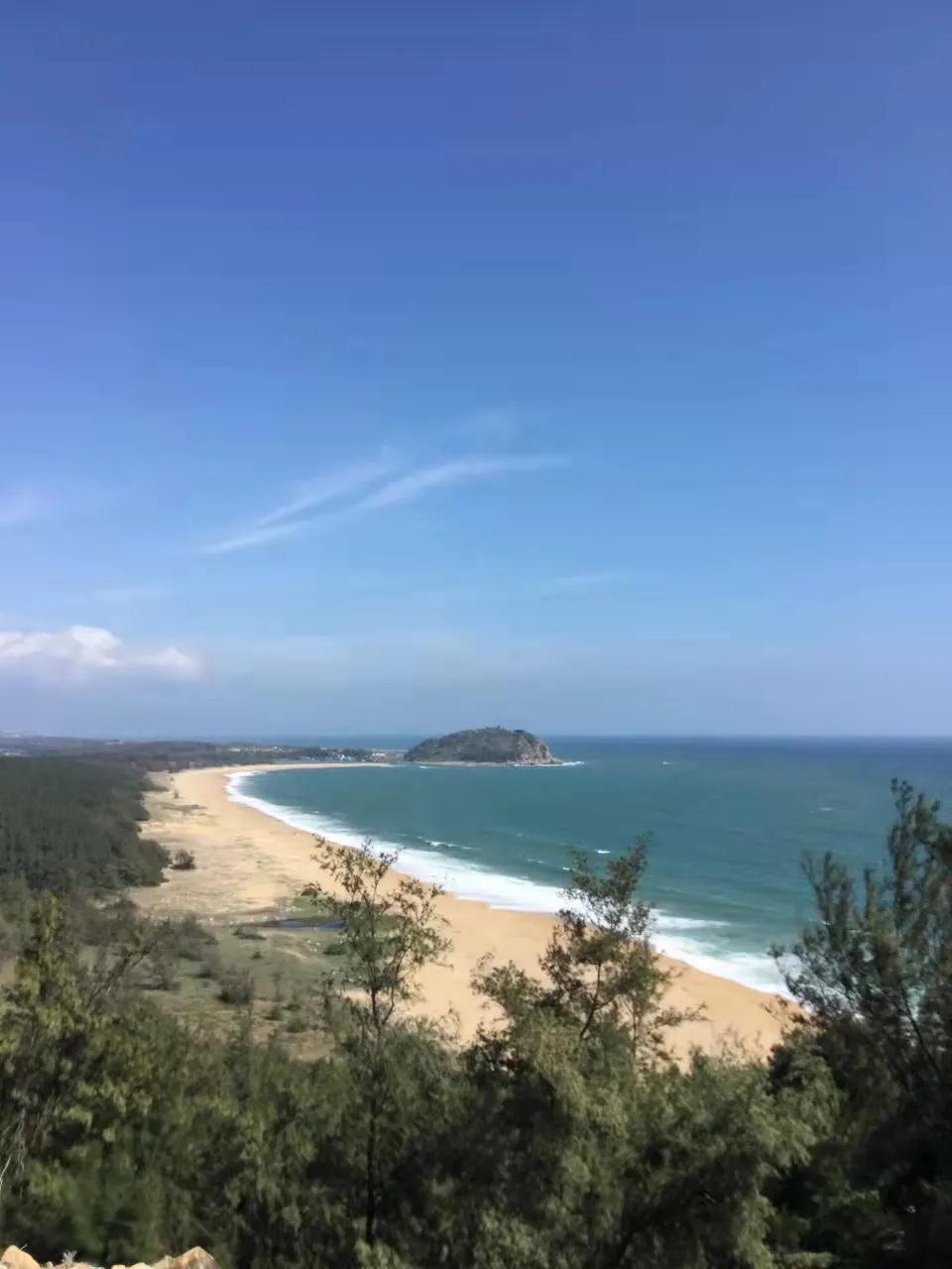 海南最美陵水,海南最美椰林