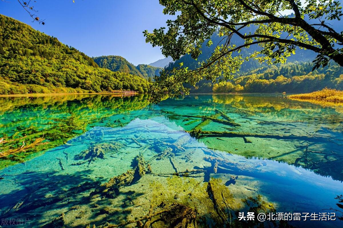 旅游攻略:中国十大旅游景点你家乡上榜了吗?