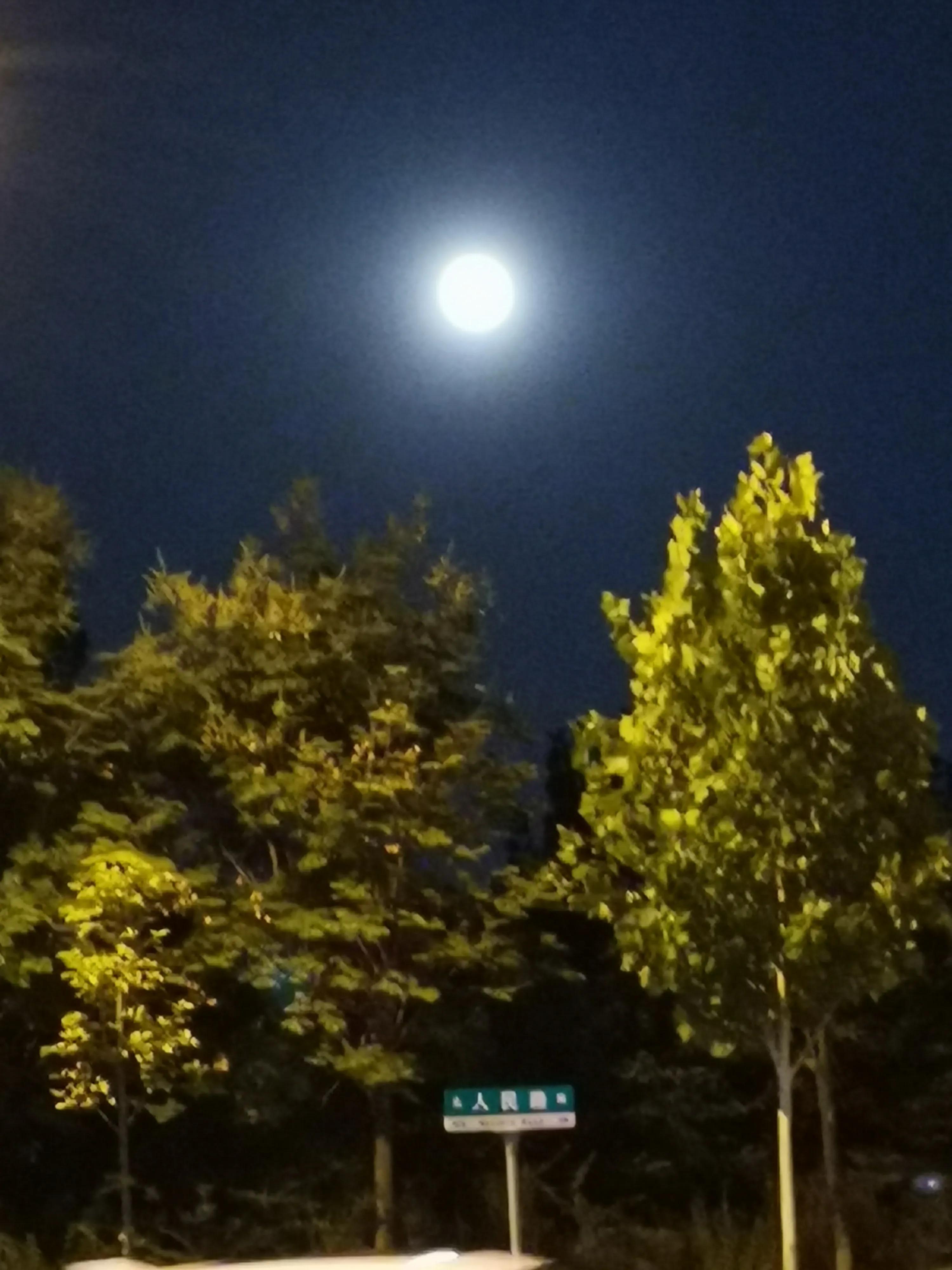 分享你拍下的最美月亮,中秋最美的月亮发朋友圈