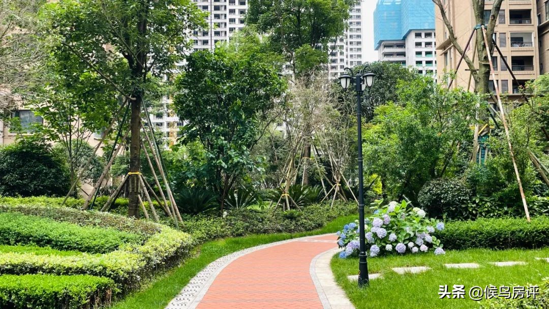 贵州之光最新消息,贵州之光几个地块